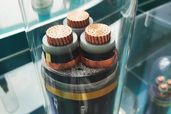 پشتیبانی خدمات جامع